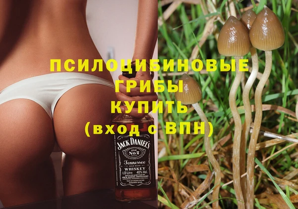 твердый Аркадак