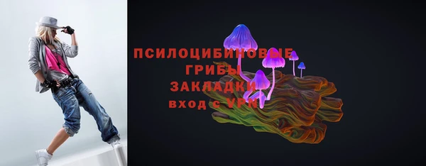 2c-b Арсеньев