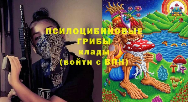 2c-b Арсеньев